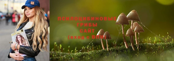 героин Алзамай