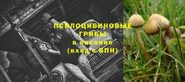 метамфетамин Алексин