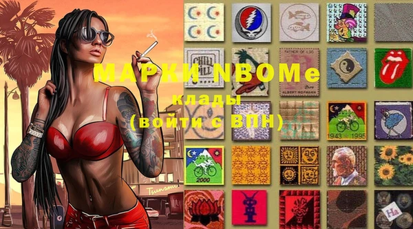 стаф Новодвинск