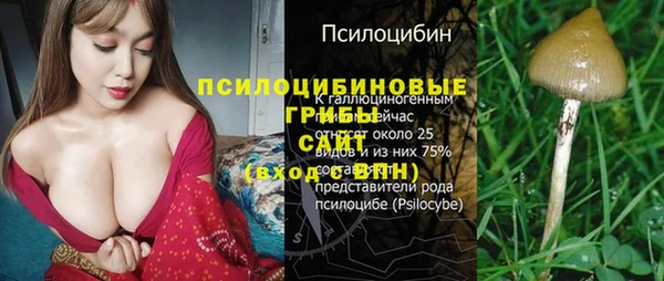 героин Алзамай
