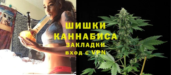 шишки Алексеевка