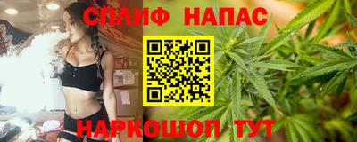 mdpv Новокубанск