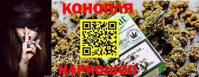 ALPHA PVP Новозыбков