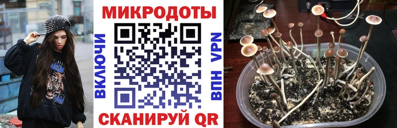 Галлюциногенные грибы Cubensis дарнет шоп Павловский Посад