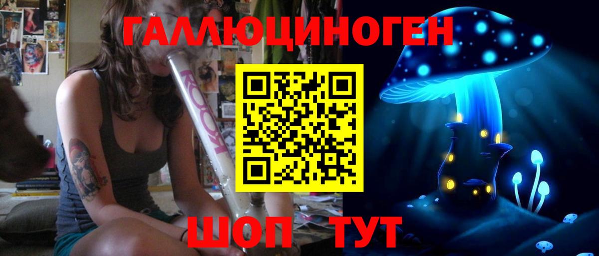Галлюциногенные грибы Psilocybe Павловский Посад